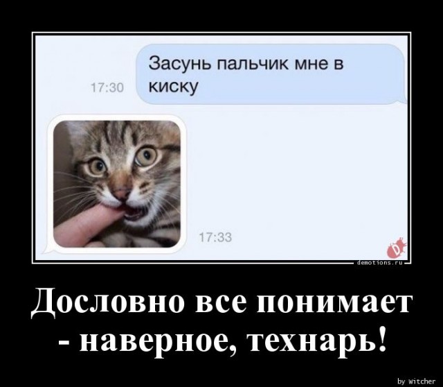Забавные шутки и картинки из этих ваших интернетов