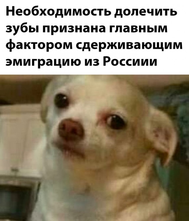 Весёлый полтишок 18.04.23