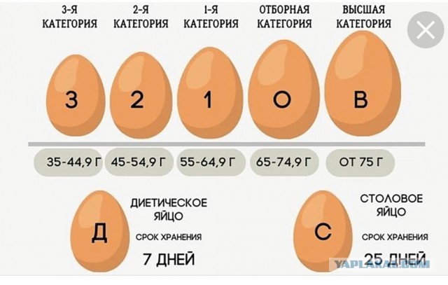 Демократия в опасности!