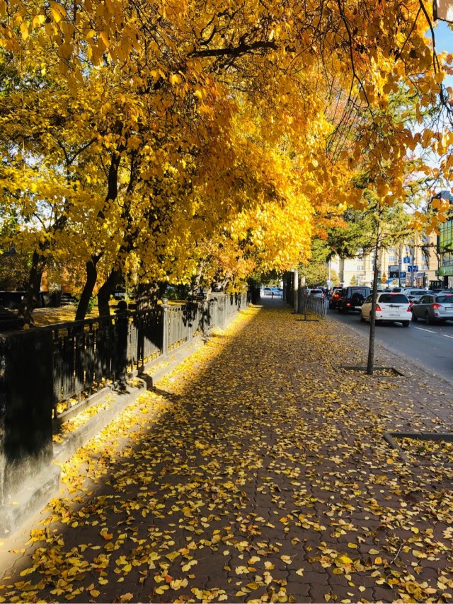 Осень золотая