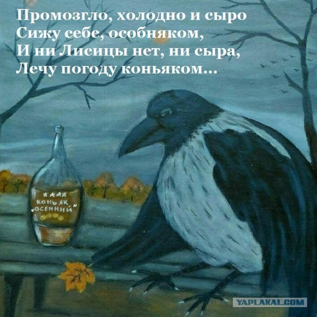 Хозяйство у жениха маленькое, жену не найдет!