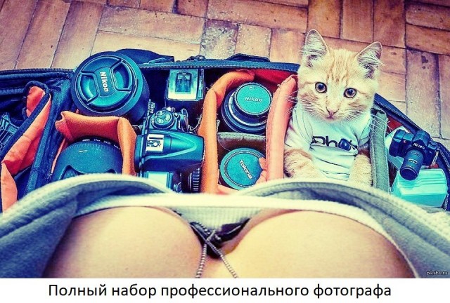 Какие-то бояны в спорадическом порядке