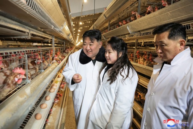 Глава государства во время визита на птицефабрику приказал уже в текущем году нарастить производство яиц и мяса птицы