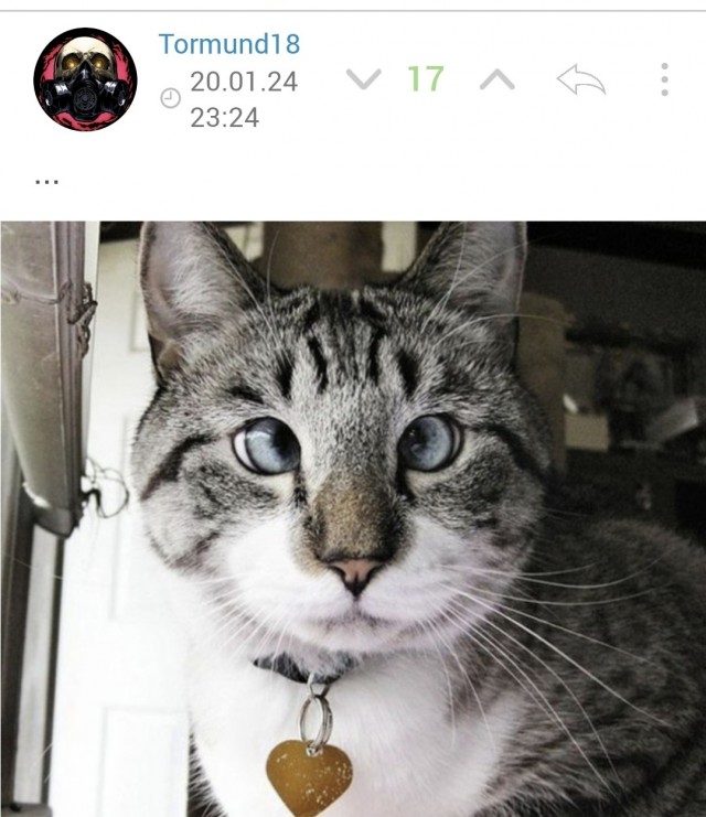 Шутки закончились