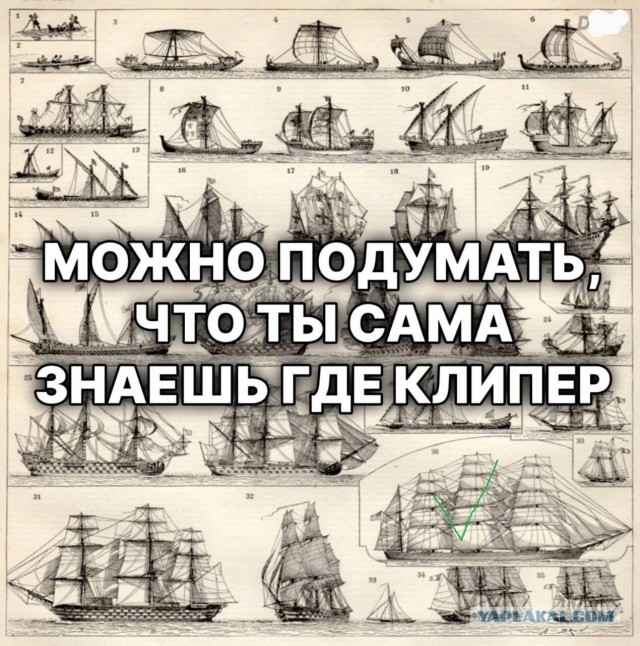Юмор в картинках и без