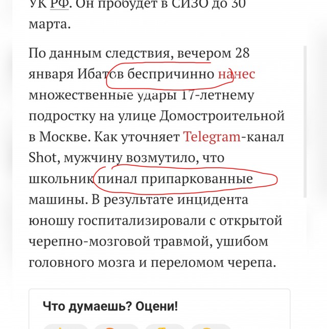 Проломившего череп школьнику бойца джиу-джитсу отправили в СИЗО