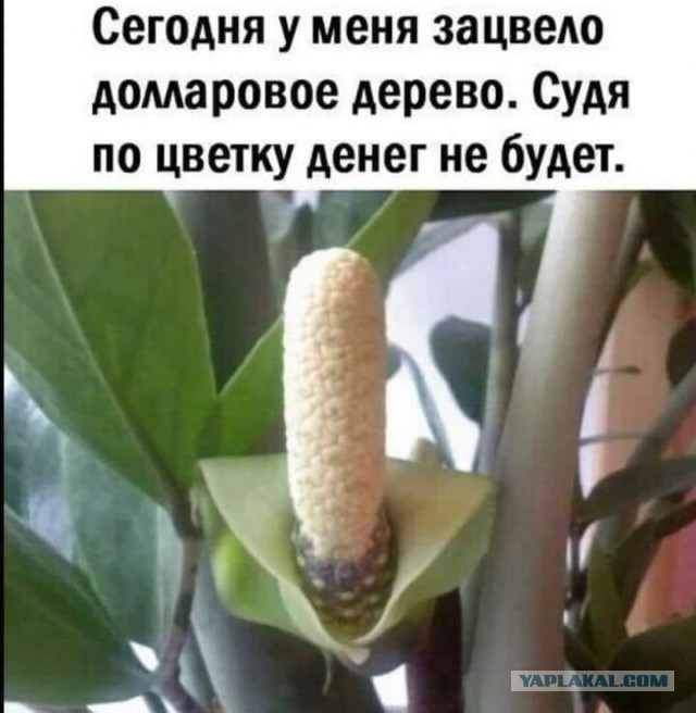 Всего понемногу. От 04.03.24