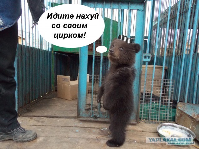 По прозвищу Тихон