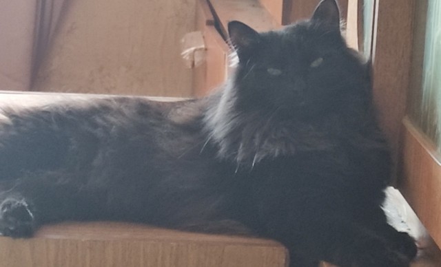 Сборник рассказов ЯПовских авторов. Обсуждение проблемы.