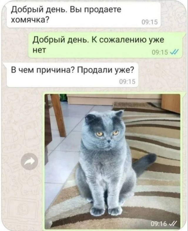 Старался без боянов