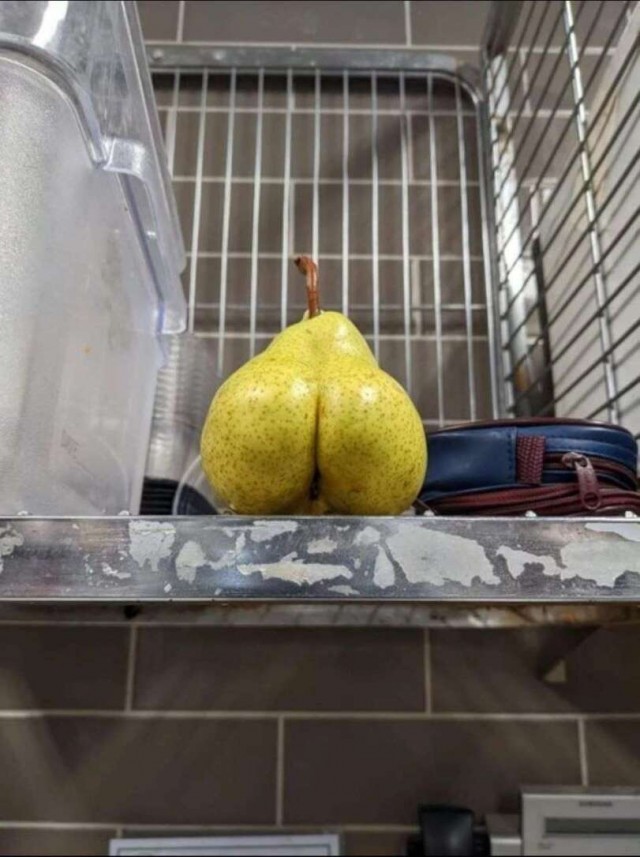 Юмор в картинках и без