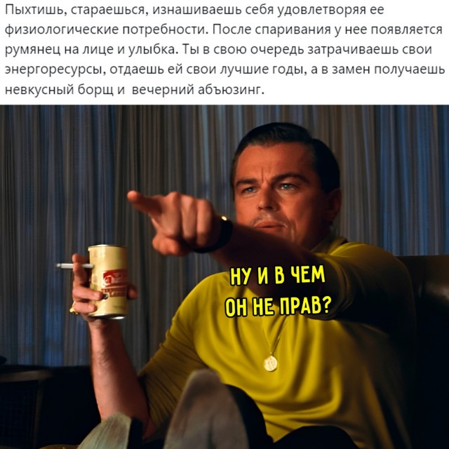 Весёлый полтишок 26.07.24