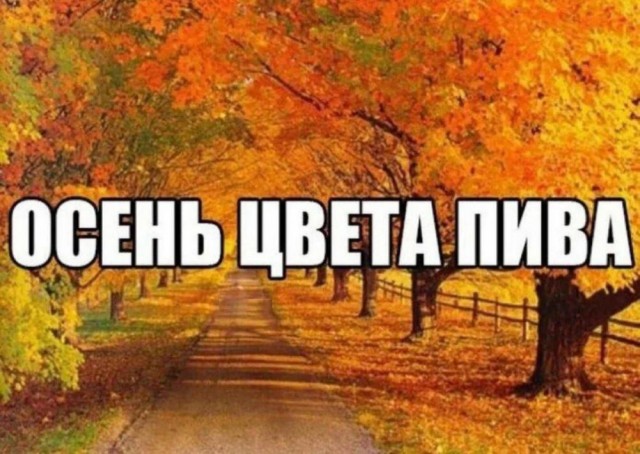 Веселые картинки к пятнице (20.09)