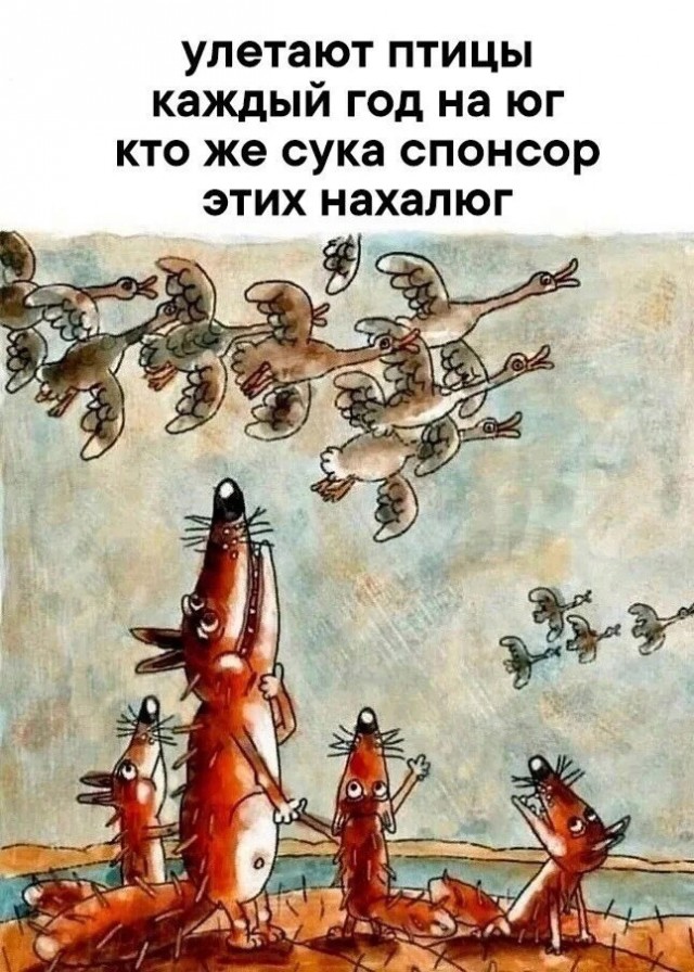 Так себе картинки 09.10.24
