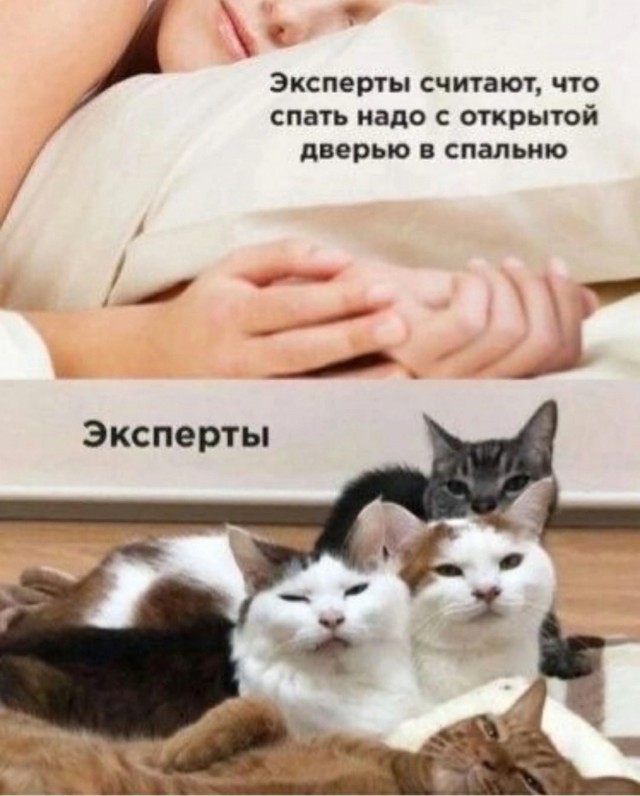 Пятничная солянка