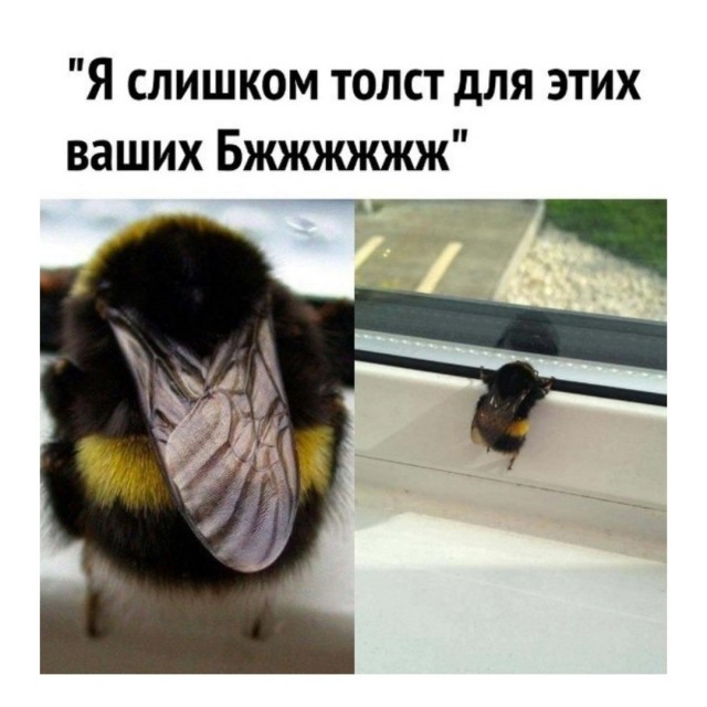 Картинки разные с надписями и без