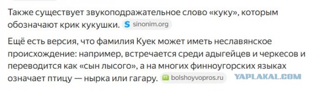 Украинская певица Ани Лорак получила российский паспорт, сообщил источник в ее окружении