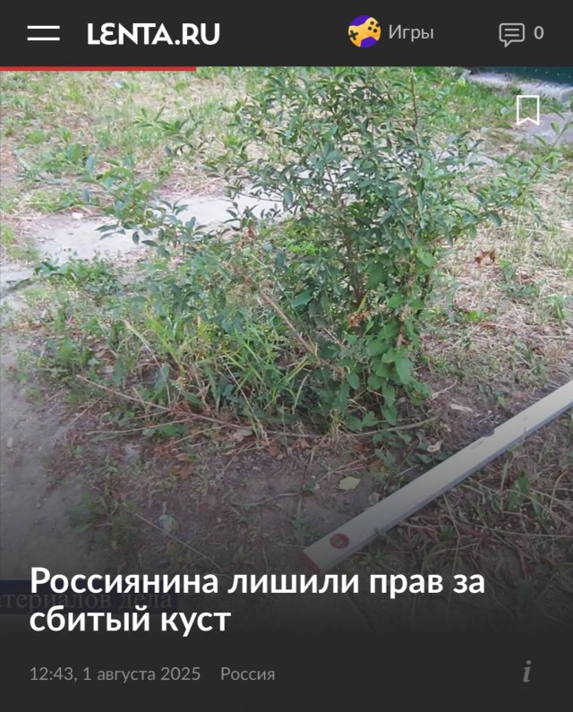 Россиянина лишили прав за сбитый куст