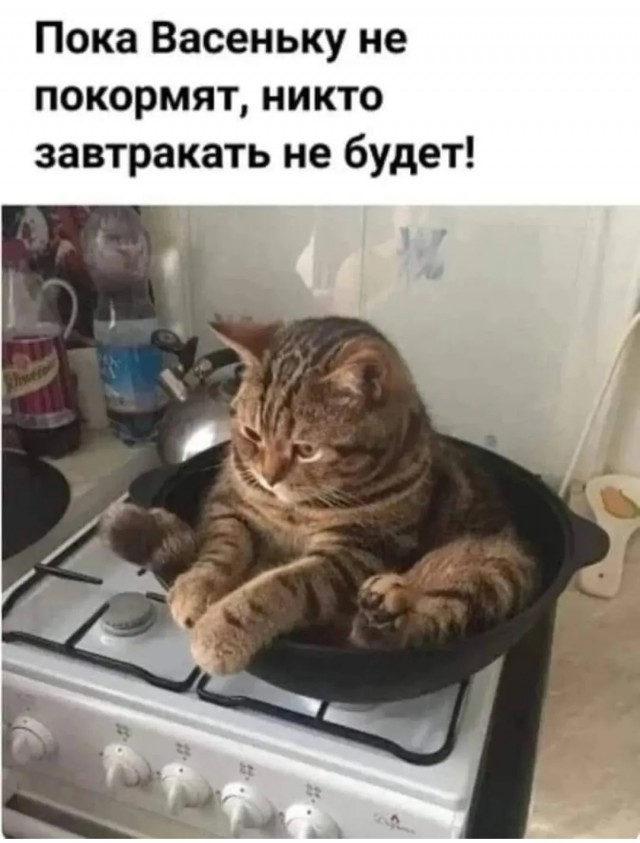 Так себе картинки 06.09.25