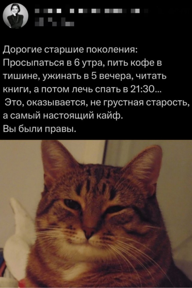 Картинки для деградации 50 (разной степени свежести)