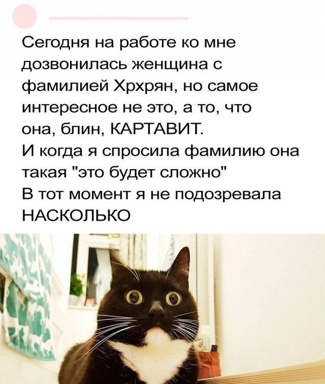 Картинки для деградации 81 (разной степени свежести)