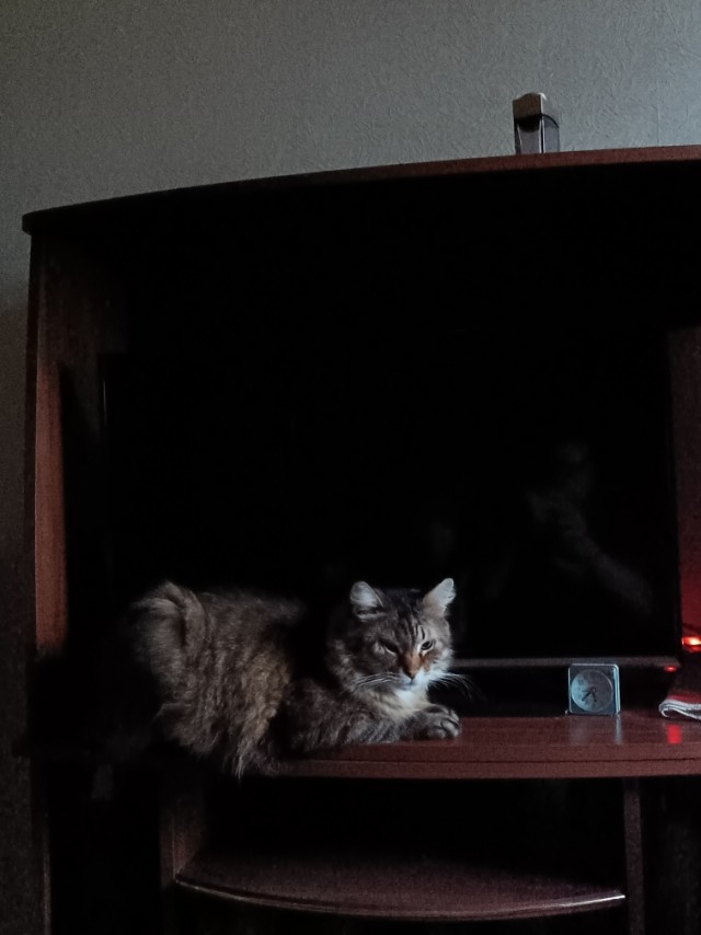 Тихон