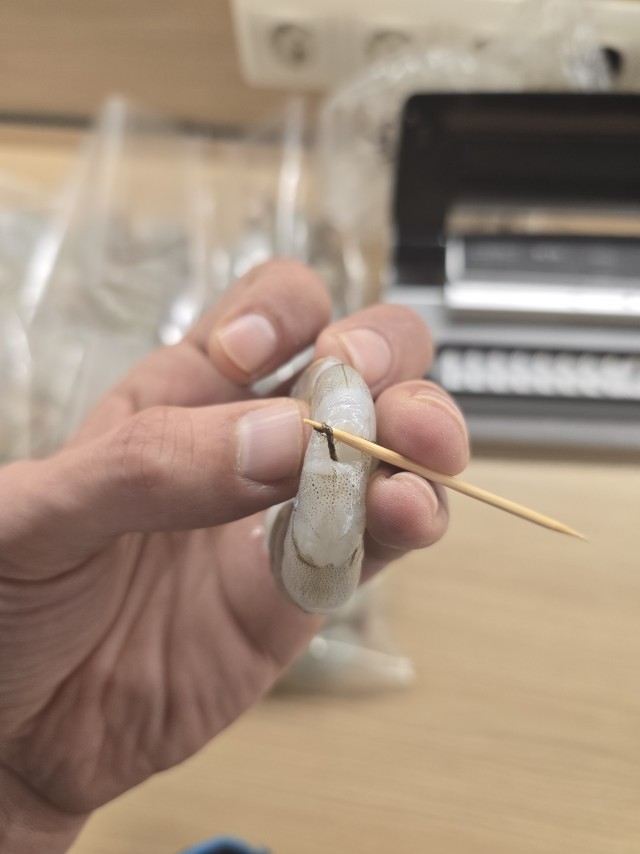 Обучающий урок от Совы