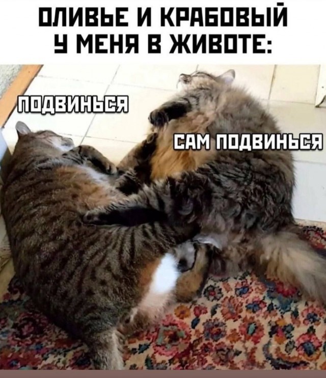 Так себе картинки 31.12.25