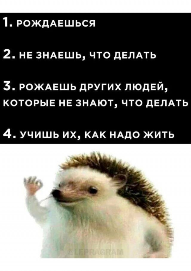 Четверговые картинки