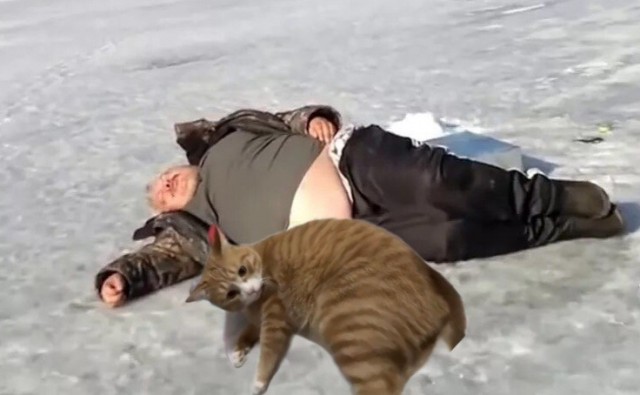 Люби меня полностью