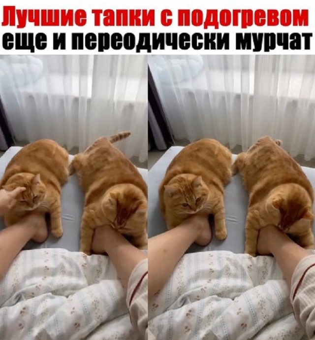 Так себе картинки 15.02.26