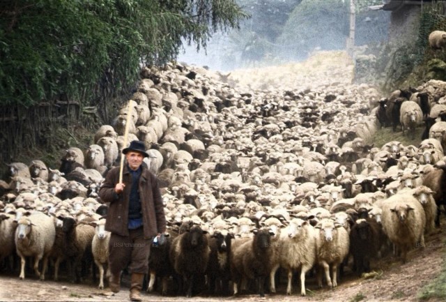 Фотографии из прошлого нашей страны – 137