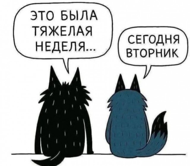 Картинки для деградации 160 (разной степени свежести)