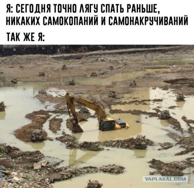 Веселые картинки в маленькую пятницу (13.05)