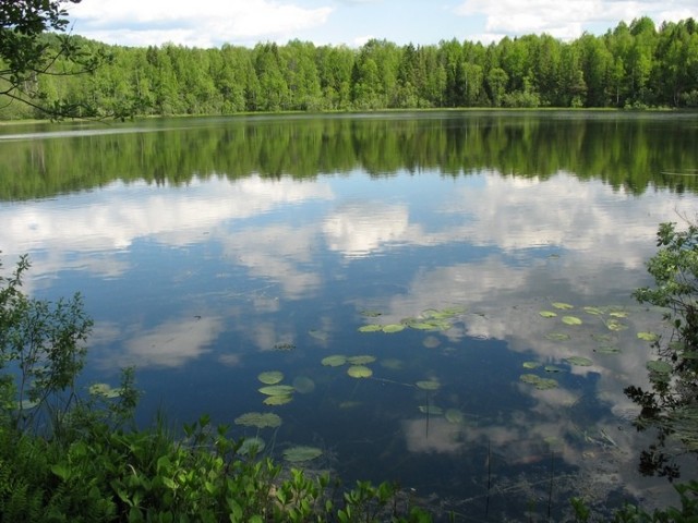 Болтобайка