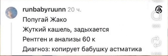 От сцуко