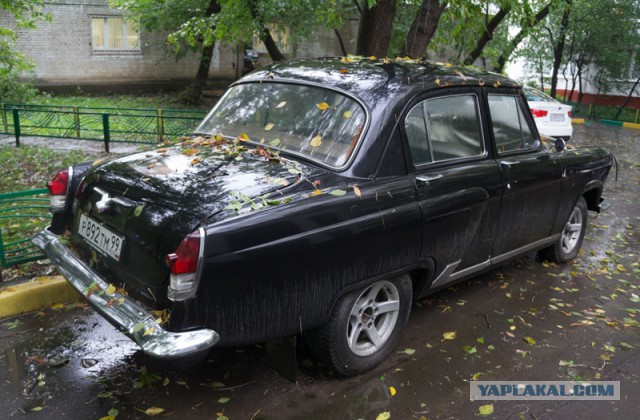 Привезли фотки по работе