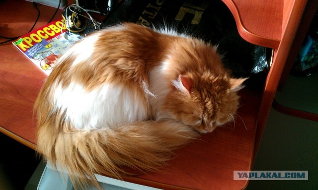 Март ты где ?