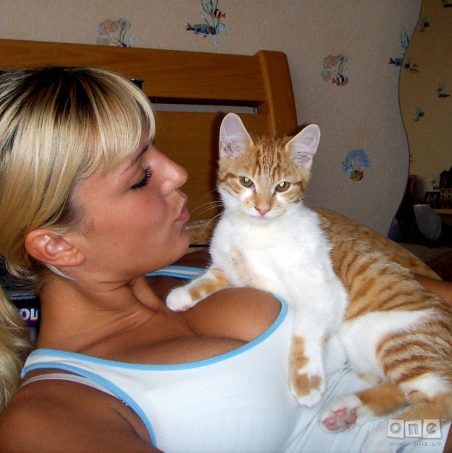 Что должна уметь каждая уважающая себя кошка