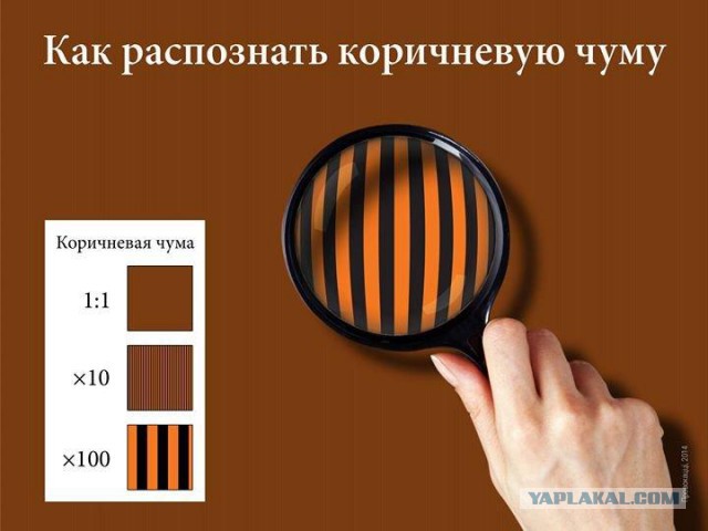 Жители Симферополя празднуют