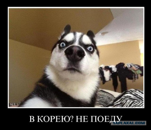 Демотиваторы.