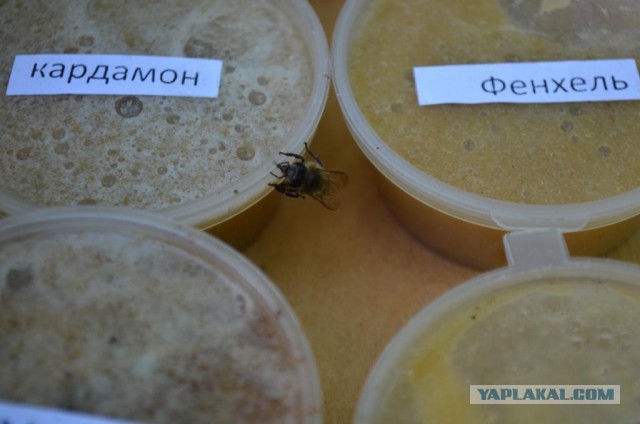 Геленджик - моя маленькая родина