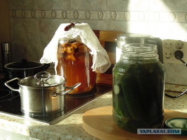 Кулинарная общалка