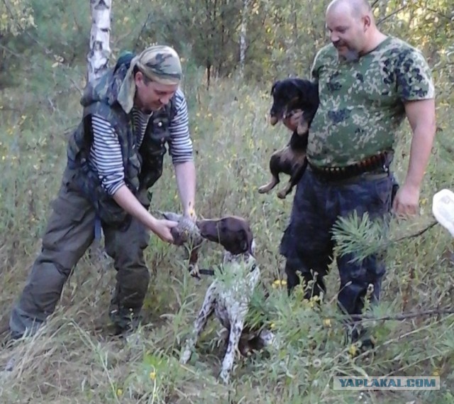 Собакочетверг! 04.09.2014