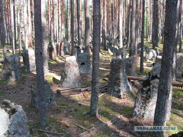 Как финны русские танки готовились встречать