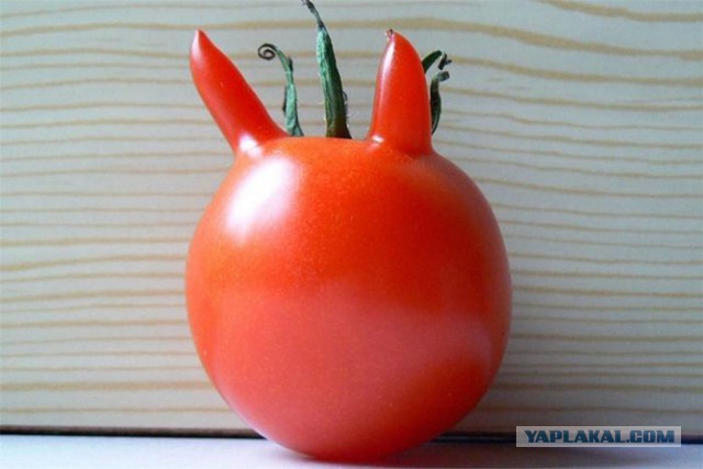 26 продуктов, которые отчаянно не хотят