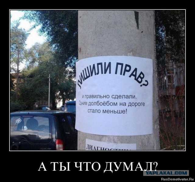 Демотиваторы вторника