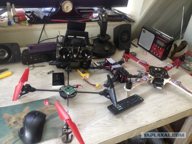 Знакомьтесь, Lily