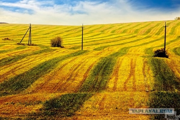 Фотопроект Best of Russia 2012