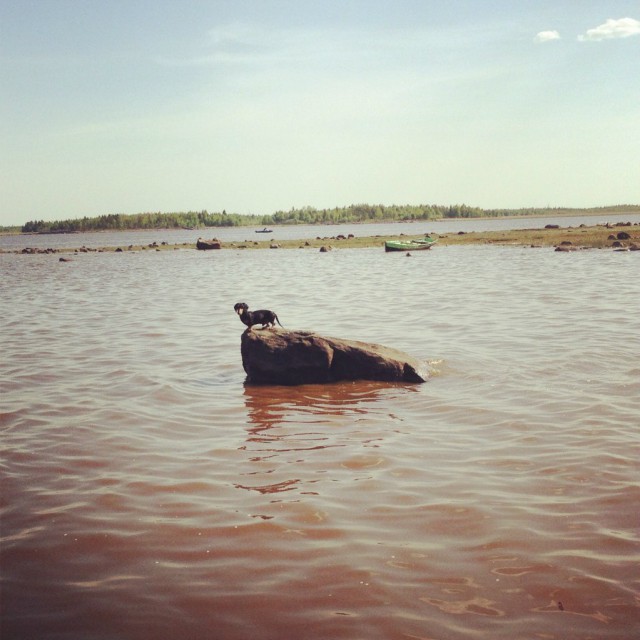 Карелия. Побережье Белого моря.